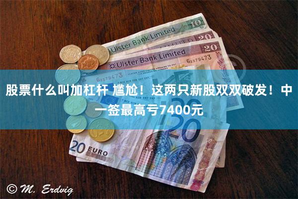 股票什么叫加杠杆 尴尬！这两只新股双双破发！中一签最高亏7400元