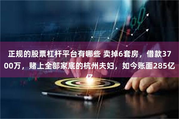 正规的股票杠杆平台有哪些 卖掉6套房，借款3700万，赌上全部家底的杭州夫妇，如今账面285亿