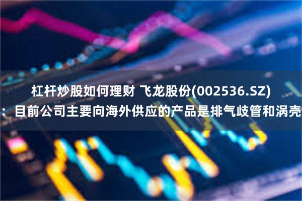 杠杆炒股如何理财 飞龙股份(002536.SZ)：目前公司主要向海外供应的产品是排气歧管和涡壳