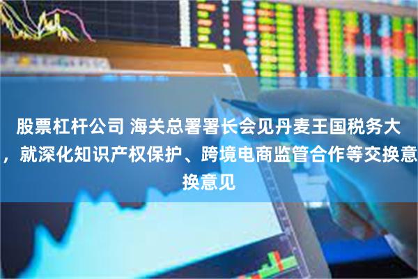 股票杠杆公司 海关总署署长会见丹麦王国税务大臣，就深化知识产权保护、跨境电商监管合作等交换意见
