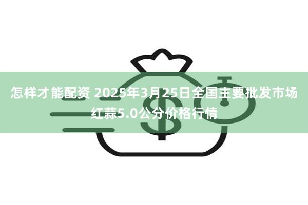 怎样才能配资 2025年3月25日全国主要批发市场红蒜5.0公分价格行情