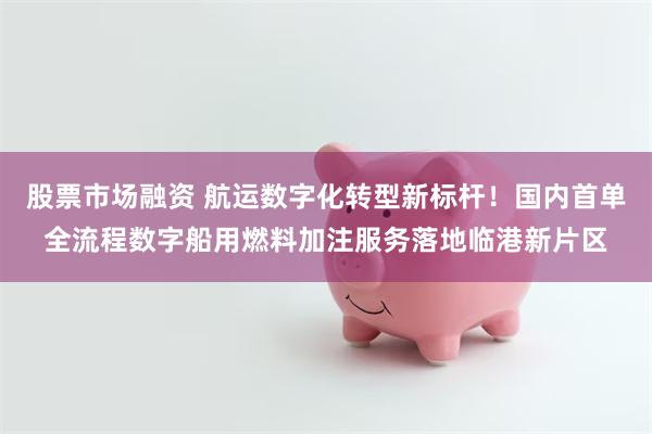 股票市场融资 航运数字化转型新标杆！国内首单全流程数字船用燃料加注服务落地临港新片区