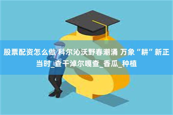 股票配资怎么做 科尔沁沃野春潮涌 万象“耕”新正当时_查干淖尔嘎查_香瓜_种植
