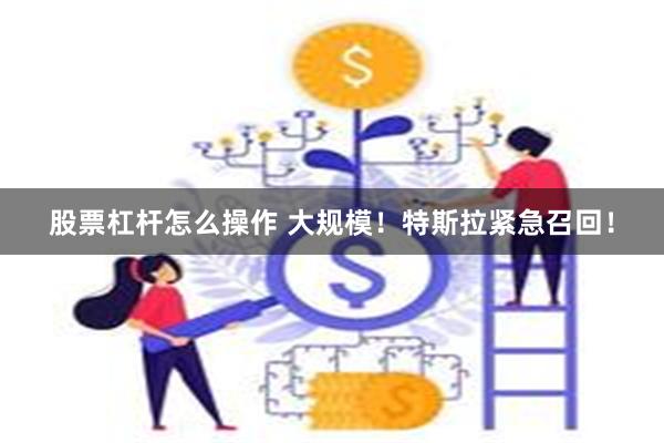 股票杠杆怎么操作 大规模！特斯拉紧急召回！