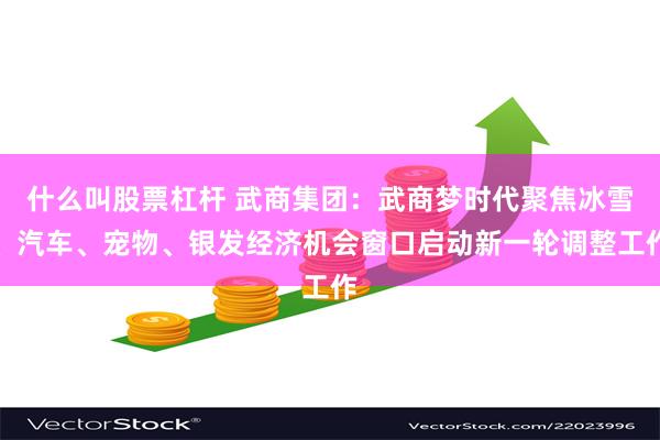 什么叫股票杠杆 武商集团：武商梦时代聚焦冰雪、汽车、宠物、银发经济机会窗口启动新一轮调整工作